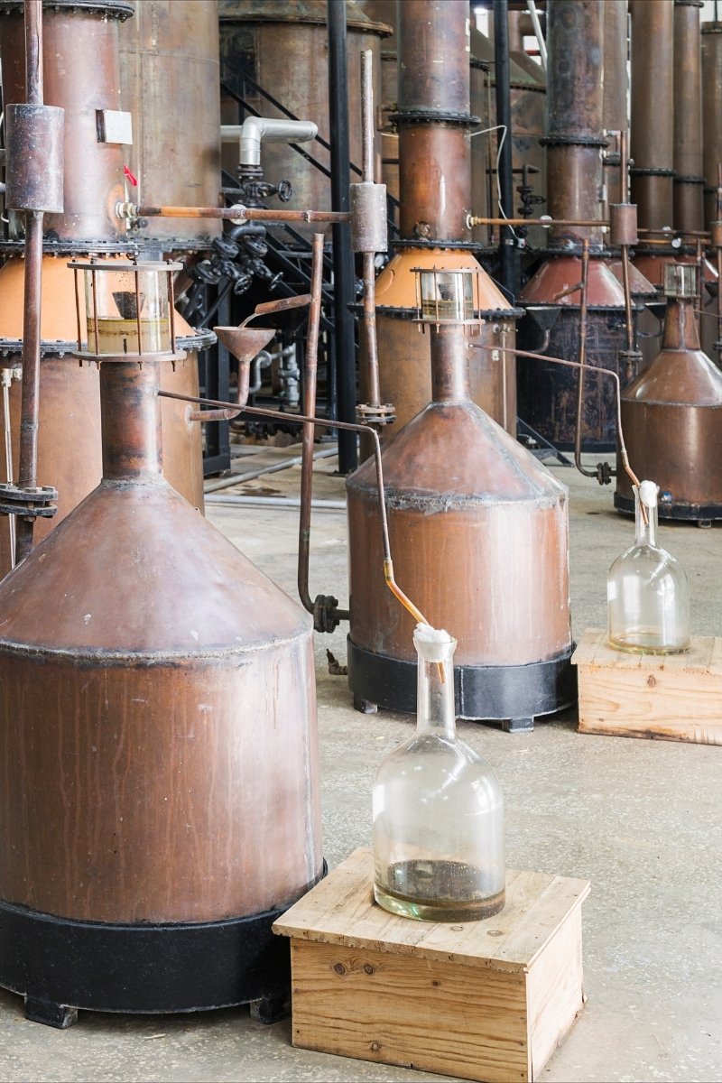 Rose Oil Market - Rose Oil Production, Isparta Rose